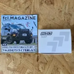fcl. T10 LED ホワイト SMD 21連 2個セット — image 1