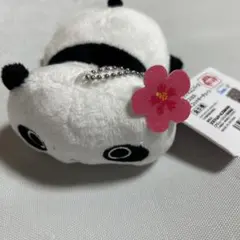 サンエックスユニバース　ハイビスカス　マスコットキーチェーン　たれぱんだ — image 1