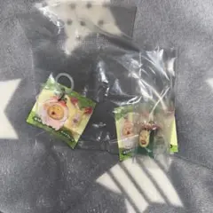 こびとづかん めじるしアクセサリー ガチャ 2種 — image 1