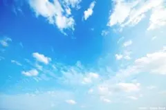 YNR様専用 — image 1