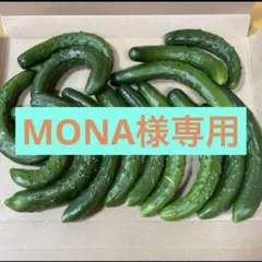 MONA様専用 — image 1