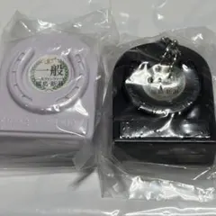レースファンファーレサウンドオーナメント　福島　新潟　一般、特別 — image 1
