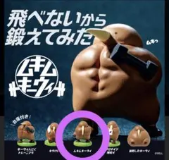 飛べないから鍛えてみた ムキムキーウィ — image 1