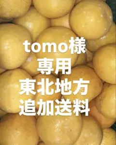 tomo様　専用 — image 1