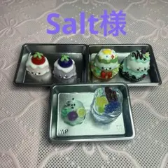 Salt様 — image 1