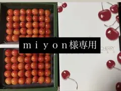 miyon様専用 — image 1