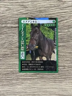 JRA 福島競馬場 誘導馬トレーディングカード エアアンセム — image 1