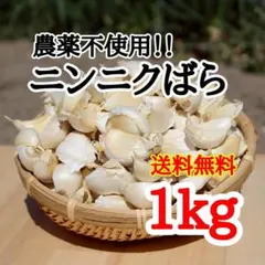 送料無料!! 2026年産 無農薬 バラニンニク 1kg ニンニク 1キロ — image 1