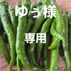 ゆぅ様専用ページです。 — image 1