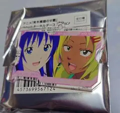 斉木楠雄のΨ難　照橋心美　アクリルキーホルダー　メディコス　POPUP 特攻服 — image 1