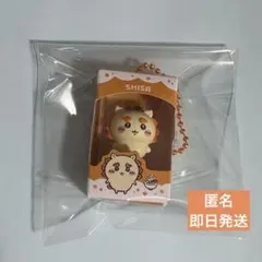 ちいかわチョコボックス　ボックスフィギュアコレクション シーサー — image 1