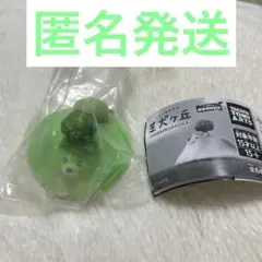 芝犬ヶ丘 柴犬ヶ丘 柴犬 ガチャ 超生物研究所 1丁目の芝犬 新緑Ver. — image 1