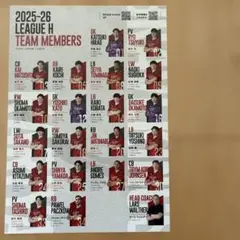 【公式ガイド】ブレイブキングス 刈谷 ハンドボール 2025-2026 — image 1