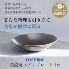 【新品・未使用品】アテニア IDE監修 美濃焼 メインプレート5枚 — image 1