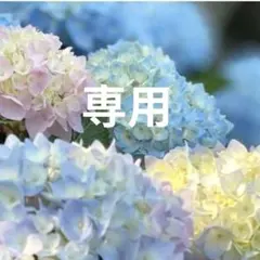 専用品 — image 1
