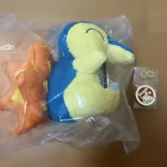 一番くじ ポケモン 30周年 ヒノアラシ ぬいぐるみ — image 1