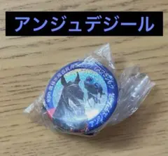 アンジュデジール アイドルホースミニコレクション JBCレディスクラシック — image 1
