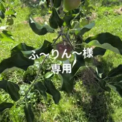 ふ〜りん〜様専用 — image 1