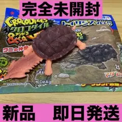 クロコダイル&co. アンドコ　マタマタ — image 1