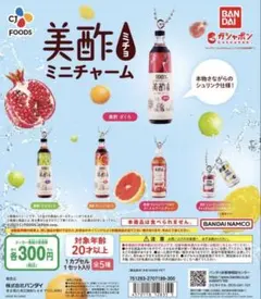 美酢 ミチョ ガチャ コンプリートセット — image 1