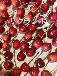 サクランボ — image 1