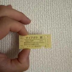 ナイアガラ駅 記念入場券 カレー店 — image 1