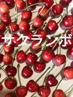 サクランボ — image 1