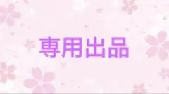 お値下げ少々なら可能です様ご専用 — image 1
