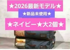 ★最新モデル★帝人★収納ケースプレミアム★大2個★ネイビー★新品 — image 1