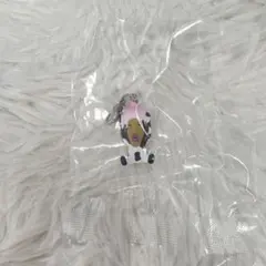 こびとづかん めじるしフレンズ シボリオオチチ — image 1