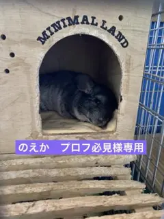 のえか　プロフ必見様専用 — image 1