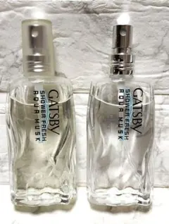 新品　香水　ギャツビー　シャワーフレッシュ　アクアムスク　60ml　2個セット — image 1