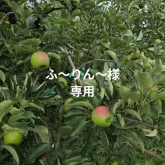 ふ〜りん〜様専用 — image 1