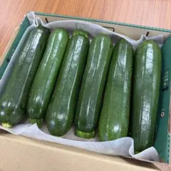 産地直送！新鮮 ズッキーニ 1.2〜1.5kg Mサイズ — image 1