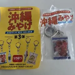 沖縄みやげ　第3弾　かめせん 　　　　　　 　　　　　　アクリルキーホルダー — image 1