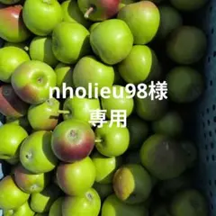 nholieu98様専用 — image 1