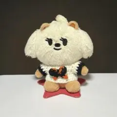 TXTプルバトゥ　バムグッ ボムギュぬい服 — image 1