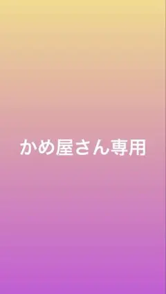専用です — image 1