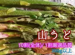 う — image 1