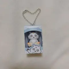 ちいかわチョコボックス　あのこ — image 1