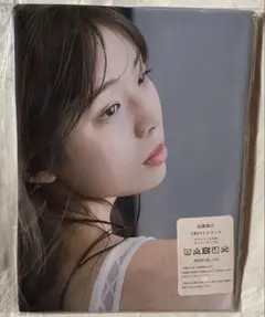 菊地姫奈　抱き枕カバー　90cm×45cm 2wayトリコット — image 1