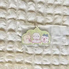 ちいかわキャラマグネッツ４　ちいかわ&ハチワレ&うさぎ — image 1