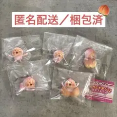こびとづかん カクレモモジリ コレクション 5種　セミコンプリートセット — image 1