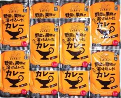 10袋 野菜と果物が溶け込んだカレー 中辛 180g — image 1