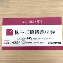 カンセキ株主優待割引券 15% WILD-1 有効期限2026年11月30日 — image 1
