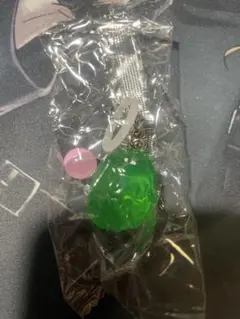 モリゾーとキッコロ めじるしアクセサリー モリゾーB — image 1