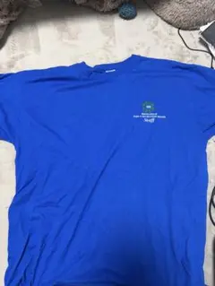 Minneapolis Parks Staff Tシャツ ブルー — image 1