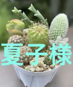 夏子様 専用 — image 1