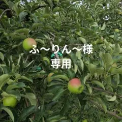 ふ〜りん〜様専用 — image 1