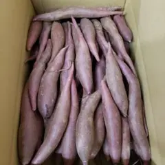 クレヨン様専用 サツマイモ — image 1